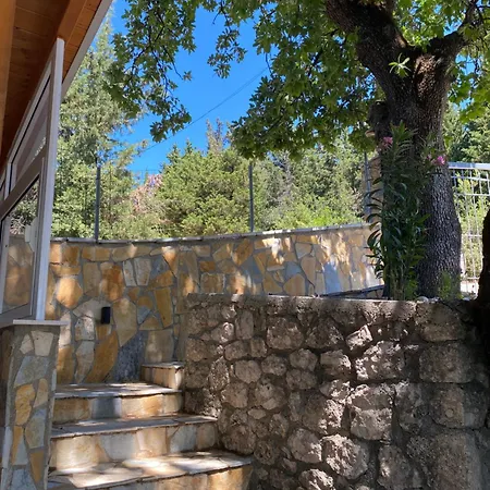 Vllasi Apartament